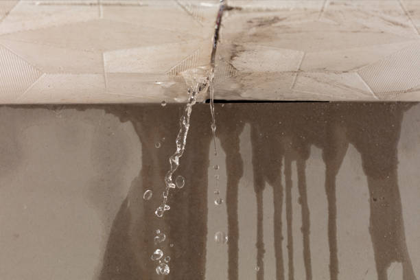 Professional Structural Drying technician working in Hoschton, GA